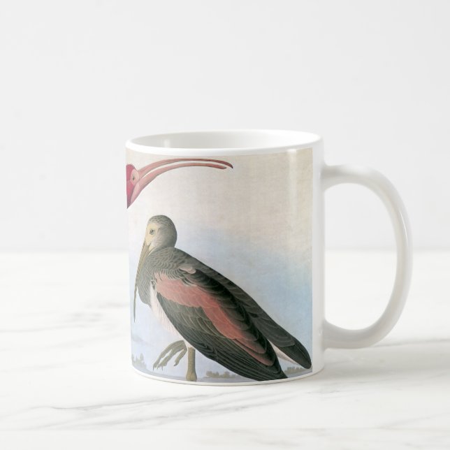 Audubon: Scharlakansröda Ibis Kaffemugg (Höger)