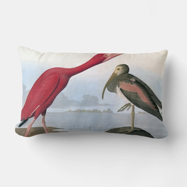 Audubon: Scharlakansröda Ibis Lumbarkudde (Framsida)