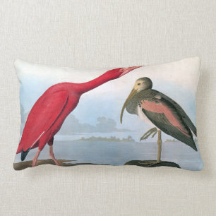Audubon: Scharlakansröda Ibis Lumbarkudde