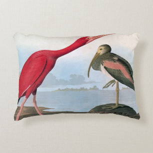 Audubon: Scharlakansröda Ibis Prydnadskudde