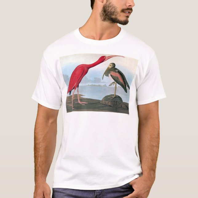 Audubon: Scharlakansröda Ibis T-shirt (Framsida)