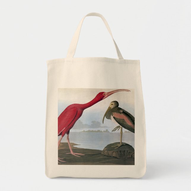 Audubon: Scharlakansröda Ibis Tygkasse (Framsidan)