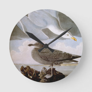 Audubon: Sill Gull Rund Klocka