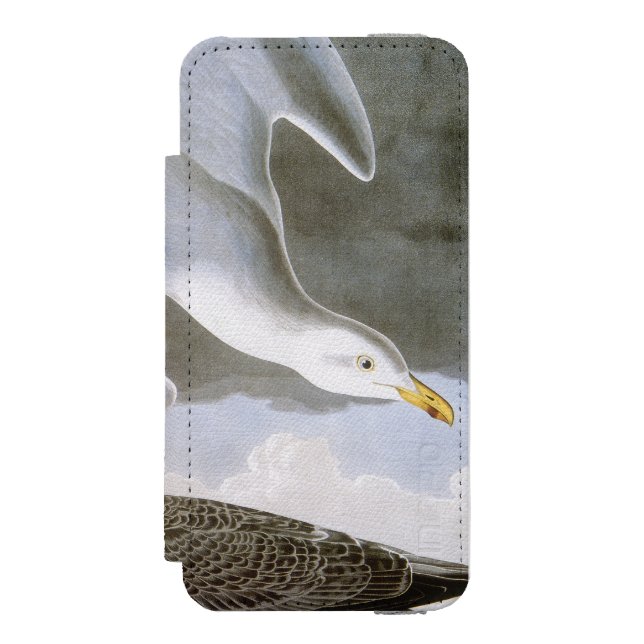 Audubon: Sillfiskmås Incipio iPhone Wallet Skal (Folio Framsidan)