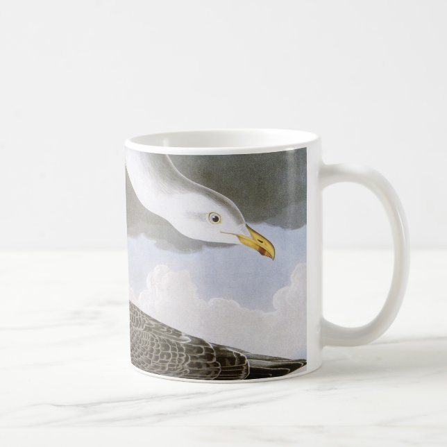 Audubon: Sillfiskmås Kaffemugg (Höger)