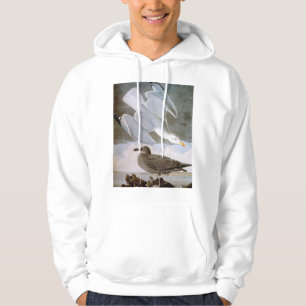 Audubon: Sillfiskmås Sweatshirt