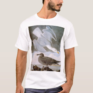 Audubon: Sillfiskmås T-shirt