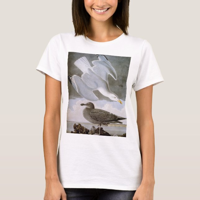 Audubon: Sillfiskmås Tee Shirt (Framsida)