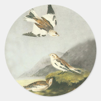 Audubon Snö Bunting Bird Art Stickers Runt Klistermärke