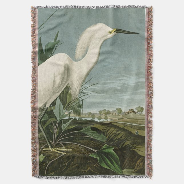 Audubon Snöhäger Vit Egretthäger Fågel Fågelskådni Filt (Framsidan Vertikal)