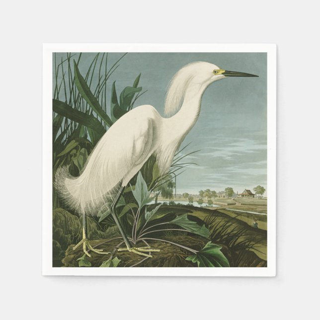 Audubon Snöhäger Vit Egretthäger Fågel Fågelskådni Pappersservett (Framsidan)