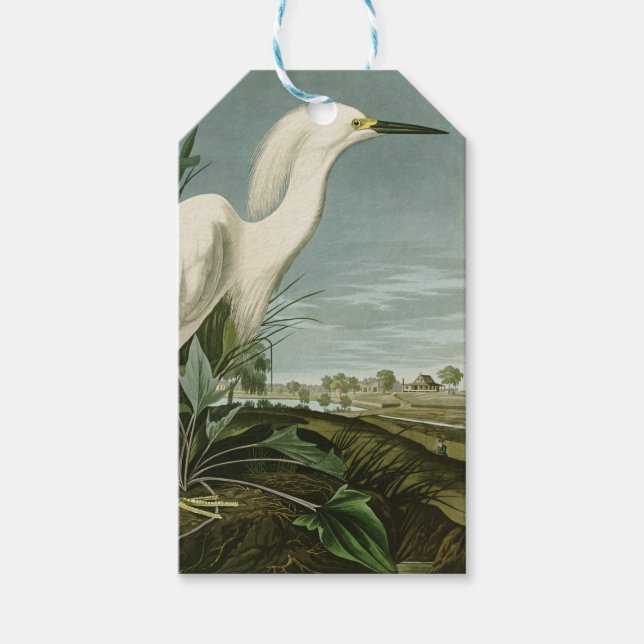 Audubon Snöhäger Vit Egretthäger Fågel Fågelskådni Presentetikett (Framsidan)