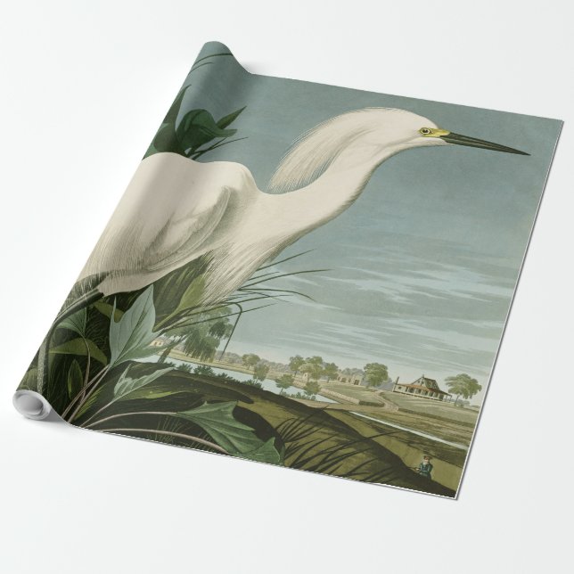 Audubon Snöhäger Vit Egretthäger Fågel Fågelskådni Presentpapper (Utrullad)