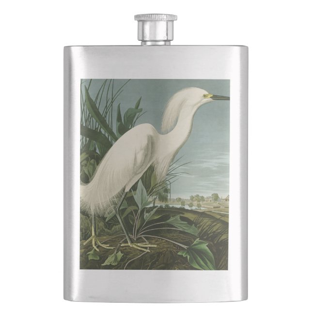 Audubon Snöhäger Vit Hägrar Fågel Fågelskådning Fickplunta (Framsidan)