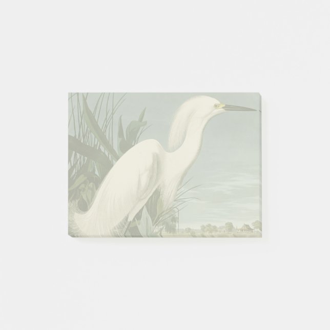 Audubon Snöhäger Vit Hägrar Fågel Fågelskådning Post-it Block (Framsida)