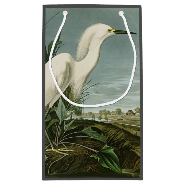 Audubon Snowy Heron White Egret Birding (Baksidan)