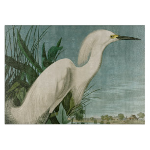 Audubon Snowy Heron White Egret Birding