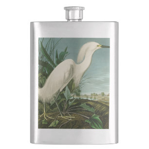 Audubon Snowy Heron White Egret Birding Fickplunta