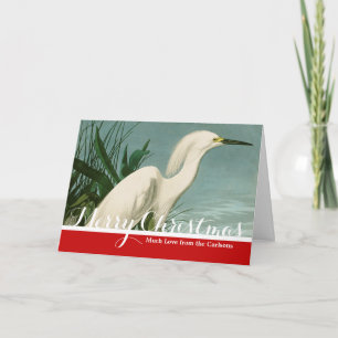 Audubon Snowy Heron White Egret Birding Helgkort