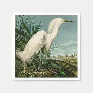 Audubon Snowy Heron White Egret Birding Pappersservett