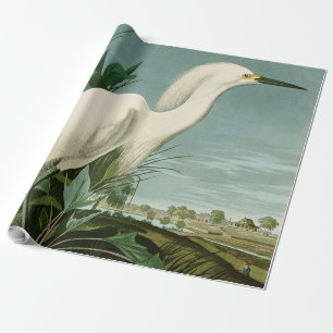 Audubon Snowy Heron White Egret Birding Presentpapper