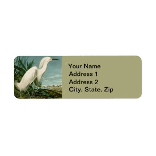 Audubon Snowy Heron White Egret Birding Returadress Etikett