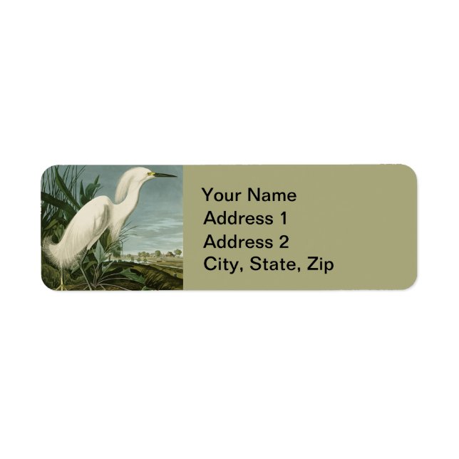 Audubon Snowy Heron White Egret Birding Returadress Etikett (Framsidan)