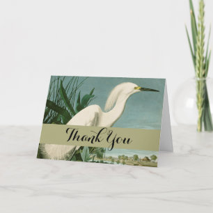Audubon Snowy Heron White Egret Birding Tack Kort