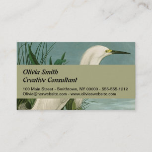 Audubon Snowy Heron White Egret Birding Visitkort
