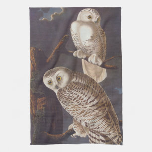 Audubon Snowy White Uggla på en Mörk Cloudy Night Kökshandduk