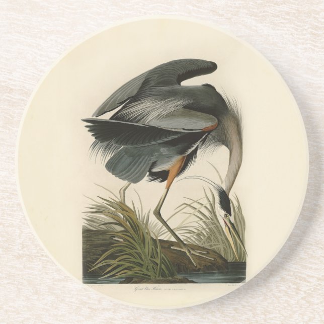 Audubon Större blåhäger Marschfågel Underlägg Sandsten (Framsidan)