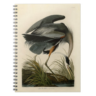 Audubon Större blåhäger Sumpfågel Anteckningsbok Med Spiral