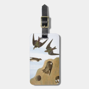 Audubon: Svalor Bagagebricka