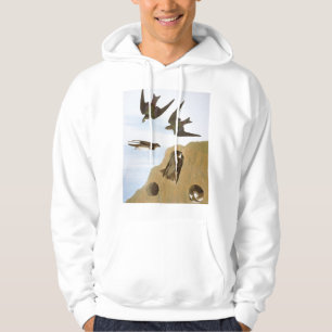 Audubon: Svalor Hoodie