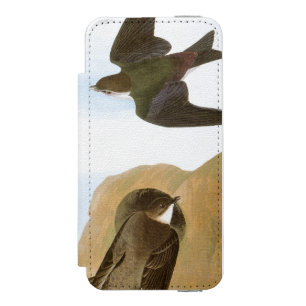 Audubon: Svalor