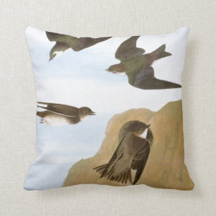 Audubon: Svalor Kudde