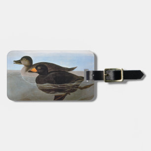 Audubon: Svart Scoter Bagagebricka