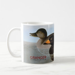 Audubon: Svart Scoter Kaffemugg