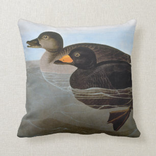 Audubon: Svart Scoter Kudde