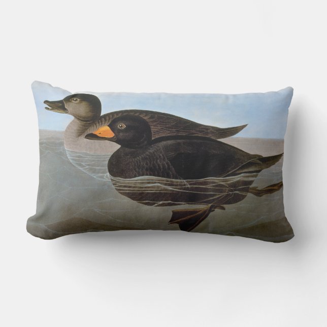 Audubon: Svart Scoter Lumbarkudde (Framsida)