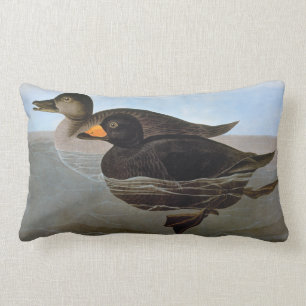 Audubon: Svart Scoter Lumbarkudde