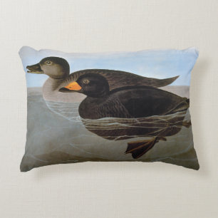Audubon: Svart Scoter Prydnadskudde