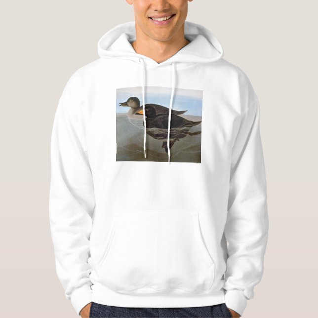 Audubon: Svart Scoter Sweatshirt Med Luva (Framsida)