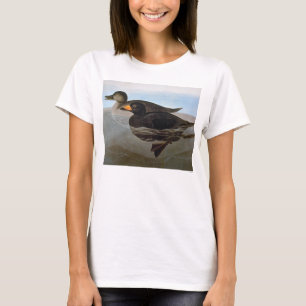 Audubon: Svart Scoter T-shirt