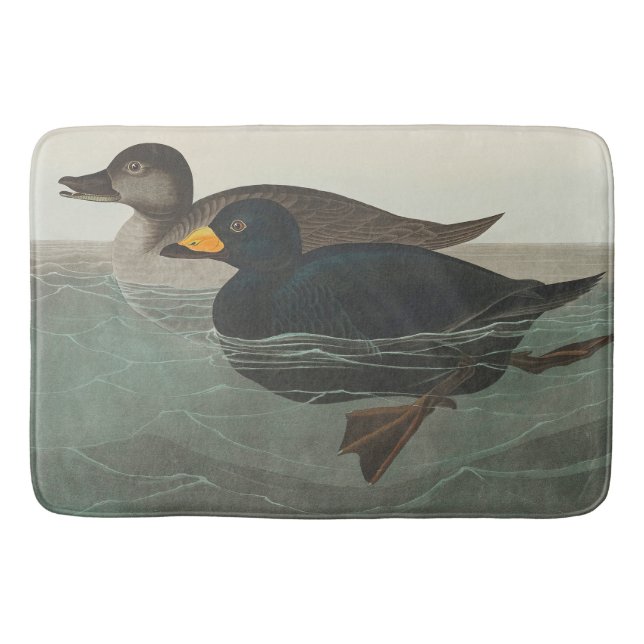 Audubon Svart Scoter Tryck: Vintage Kustand Anka Badrumsmatta (Framsidan)