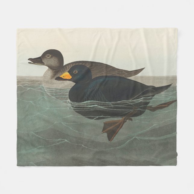 Audubon Svart Scoter Tryck: Vintage Kustand Anka Fleecefilt (Framsidan (Horisontell))