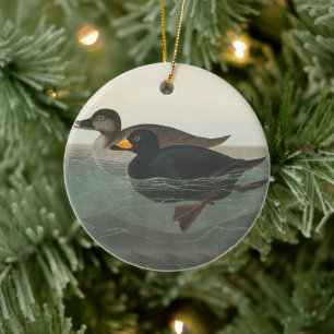 Audubon Svart Scoter Tryck: Vintage Kustand Anka Julgransprydnad Keramik