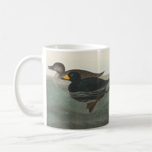 Audubon Svart Scoter Tryck: Vintage Kustand Anka Kaffemugg