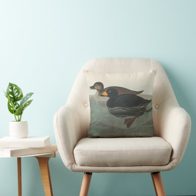 Audubon Svart Scoter Tryck: Vintage Kustand Anka Kudde (Stol)