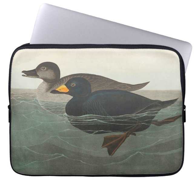 Audubon Svart Scoter Tryck: Vintage Kustand Anka Laptop Fodral (Framsidan)